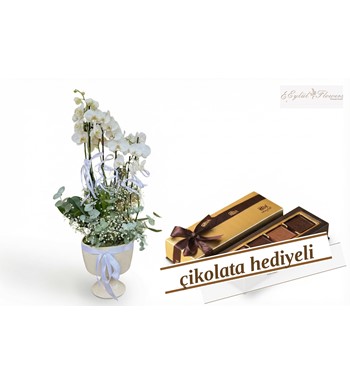 Vazoda Beyaz Orkide + Premium Çikolata İlaveli