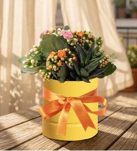 Sarı PolimerSaksıda Turuncu ve Pembe Kalanchoe